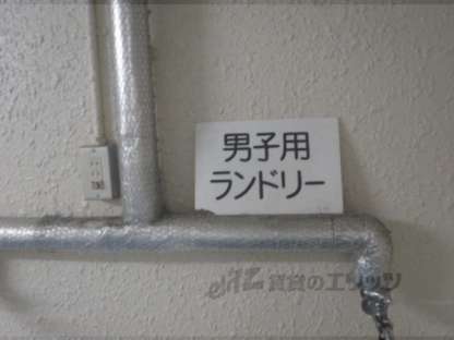 「ランドリー」