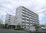 アイランド小野山