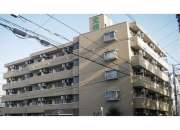 ノルデンハイム豊新