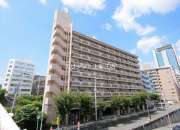 サウスフラット