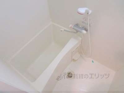 バス