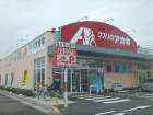 クスリのアオキ　目川店