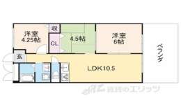 滋賀県彦根市 賃貸